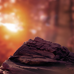 background Kona terea tranzitie